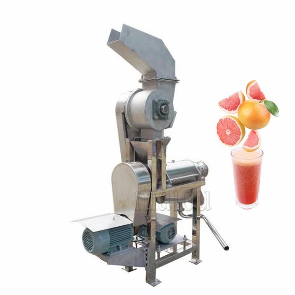 Professional Commercial Fruit Juice Screw Extractor Orange Watermelon Apple Pear Cold Press Juicer Machine